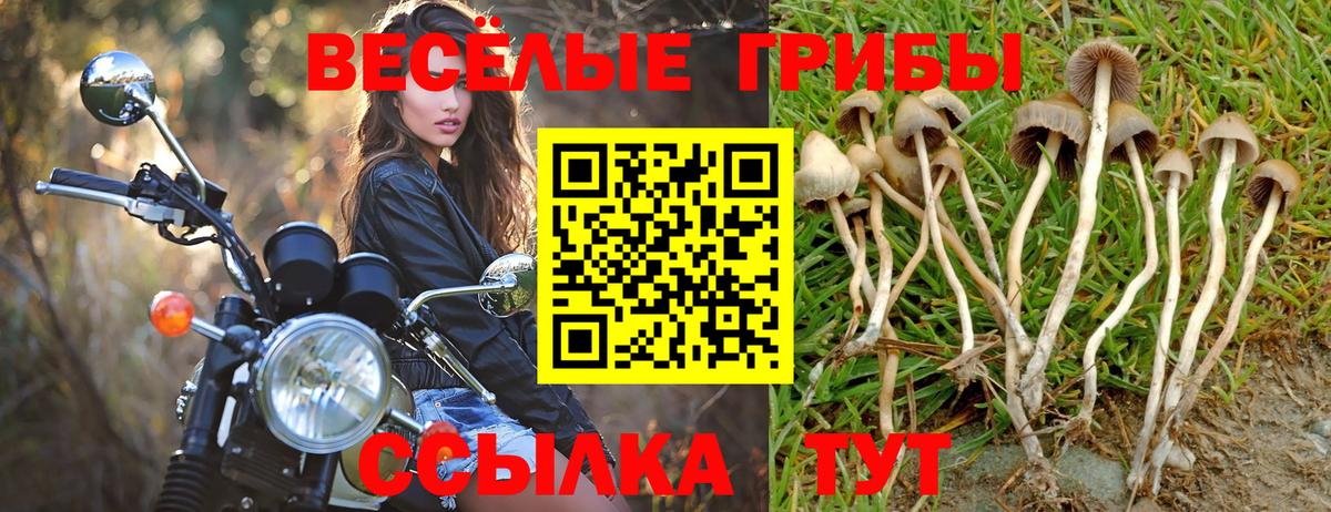 наркотики  Вход с VPN  Гагарин  Галлюциногенные грибы Magic Shrooms 